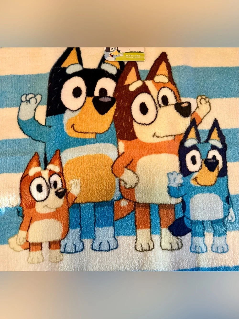 Bluey Family Stripe Blue White Indoor Area Rug 31.5”X46”~NWT